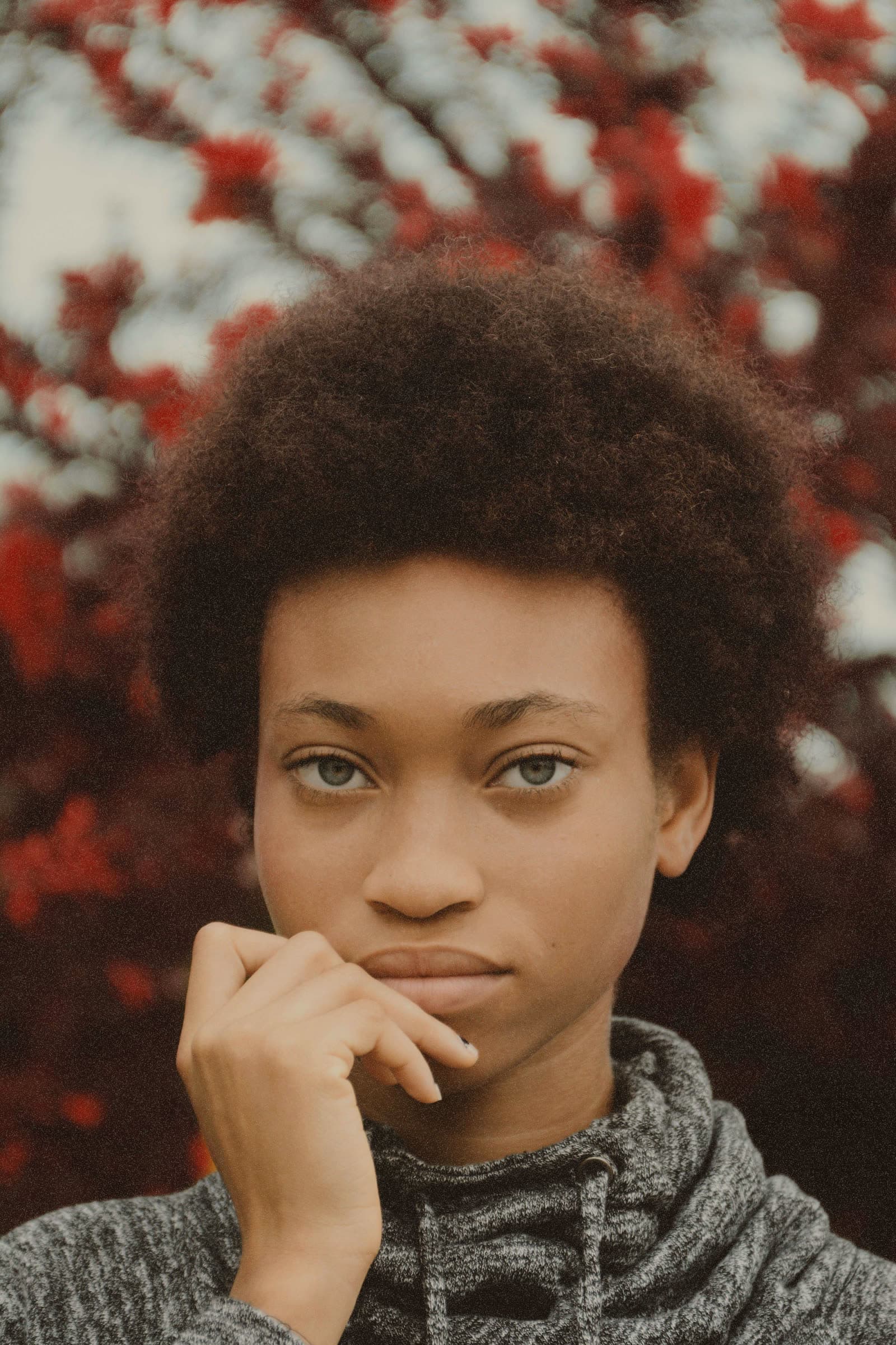 A full natural afro framed by soft red blooms